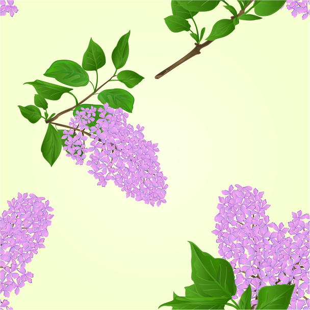 Seamless texture Lilac twig with flowers and leaves vector - Vector, Image