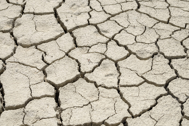 Yksityiskohta kuiva säröillä maaperän rakenne
 - Valokuva, kuva