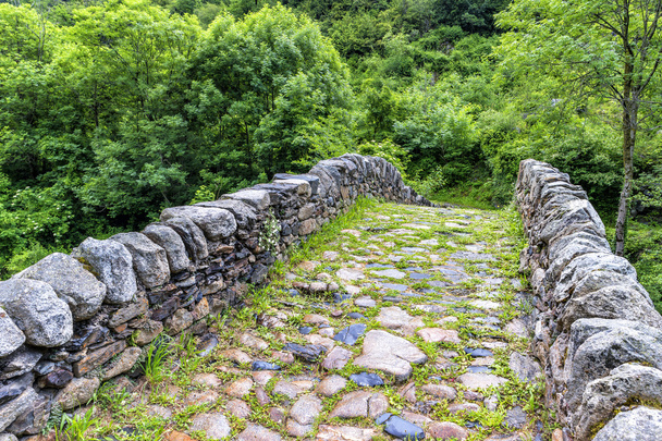 Antiguo puente de piedra sobre el río en el bosque de verano
.  - Foto, Imagen