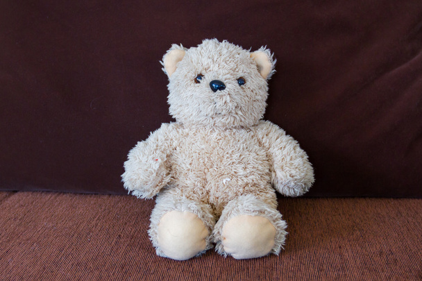 Лялька ведмідь на дивані - Фото, зображення