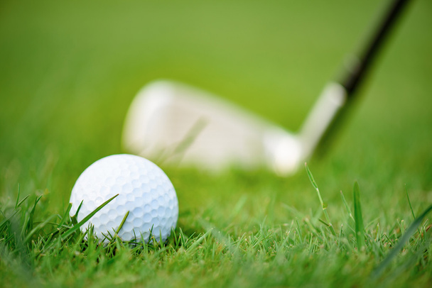 Golf ball carefully balanced on course - Фото, изображение