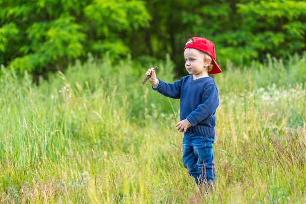 Pequeno menino caucasiano jogando ao ar livre no prado
 - Foto, Imagem