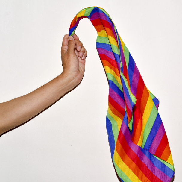 genç adam bir eşcinsel gurur bayrak sallayarak - Fotoğraf, Görsel