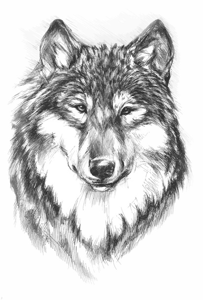 černo bílé malované Vlk - Vektor, obrázek