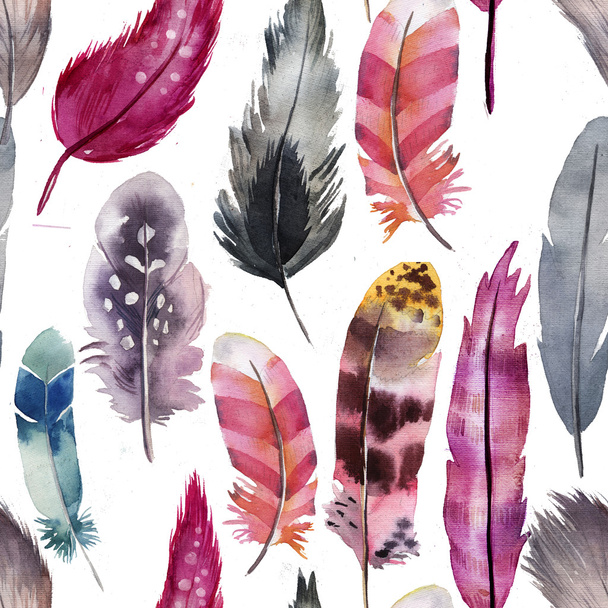 pink pattern of watercolor feathers - Photo, Image