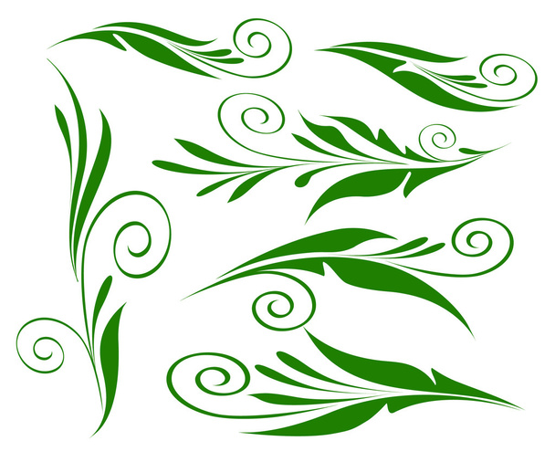 Elementos de design floral verde sobre branco isolado
. - Vetor, Imagem