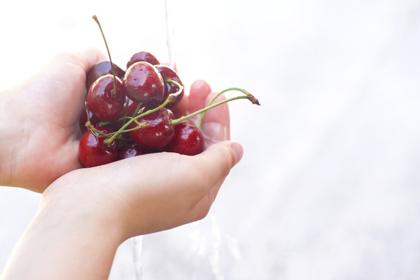 Fresh cherries in the hands - Photo, Image