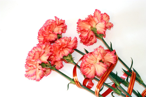 Ramo de hermosos claveles rosados
 - Foto, Imagen