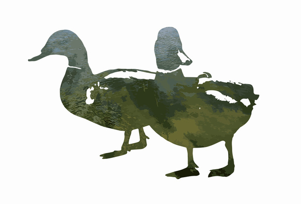 Sylwetka dwa krzyżówka kaczki wypełniony wodą falistego - Wektor, obraz