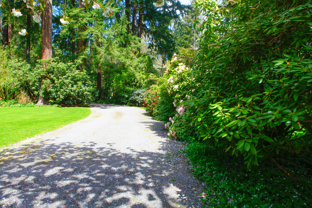 Path in a Garden - Photo, Image