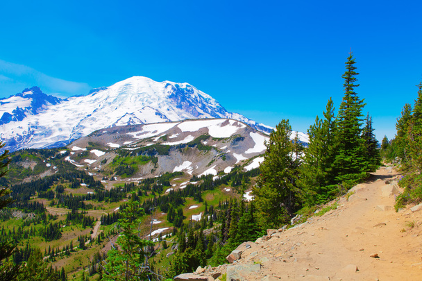 Summer Hike at Mount Rainier National park with view of Mt.Rainier. - Photo, image