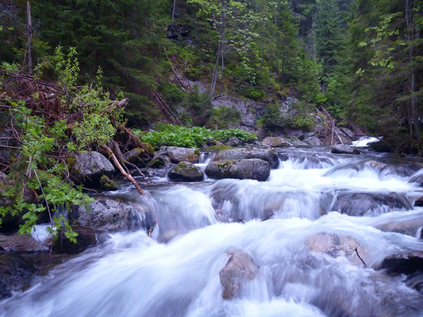 piękne czyste górskie creek przepływającym przez skały - Zdjęcie, obraz