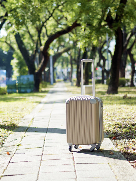 suitcase and travel - Zdjęcie, obraz