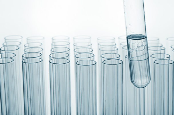 science laboratory test tubes , laboratory equipment - Zdjęcie, obraz