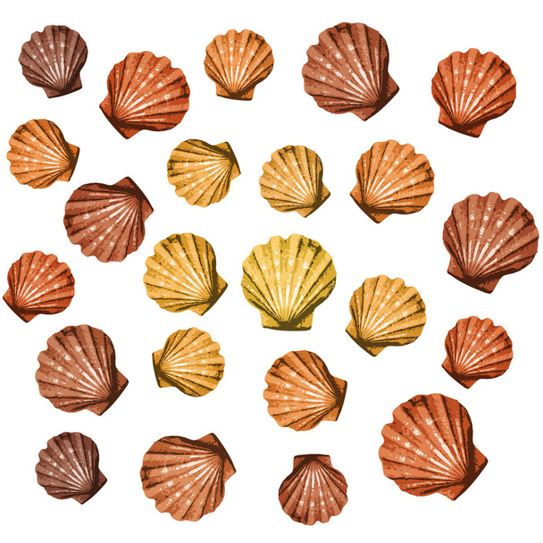 Shells background - Vektor, kép
