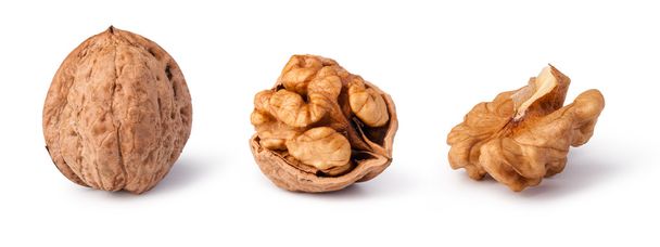 Орехи изолированы на белом фоне - Фото, изображение