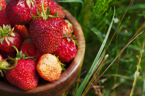Fresh juicy berries of strawberry in a grass - Foto, afbeelding