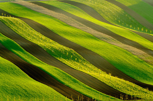Vihreät aaltoilevat kukkulat Etelä-Moraviassa
 - Valokuva, kuva