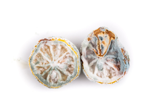 Rotten, moldy and decomposing lemon on white background - Photo, Image