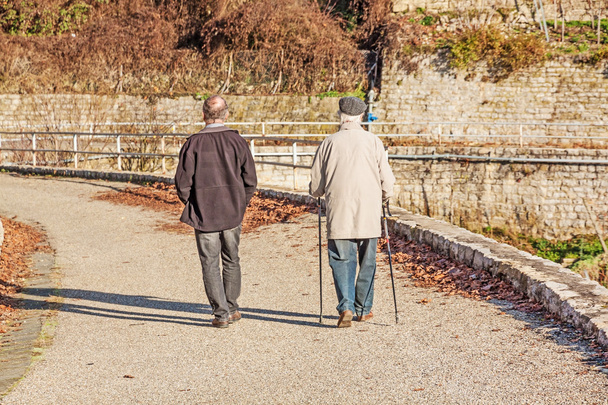 Two older men walking - Foto, imagen