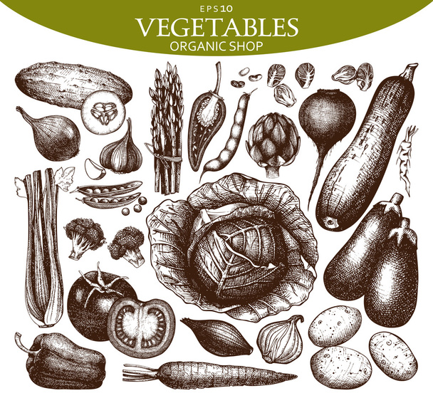 Hand drawn vegetables set - Vektor, obrázek