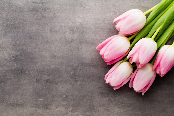 Tulip on the grey  background. - Foto, Imagen