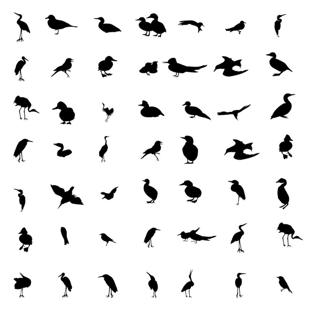 Sada černé a bílé siluety ptáků: holubice, kachna, Racek, p - Vektor, obrázek