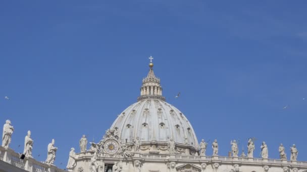 ptáci na baziliku svatého Petra. Vatikán, Řím, Itálie - Záběry, video
