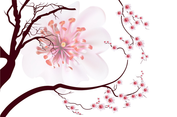 Flores sakura rosa cereja flor em estilo japonês
 - Foto, Imagem