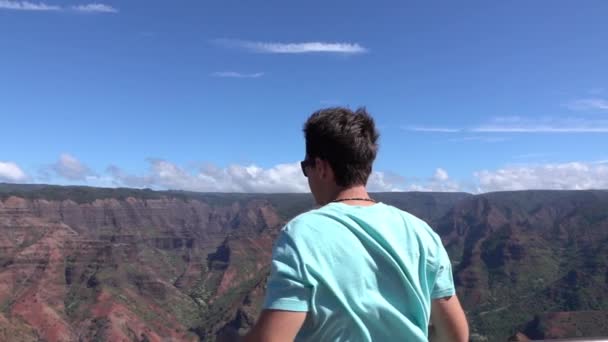 Slow Motion: man staande op de rand van Canyon, overwinnaar armen omhoog - Video