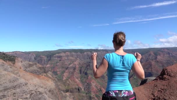 Lassú mozgás: Boldog fiatal nő raising karját büszkén hegy tetején - Felvétel, videó