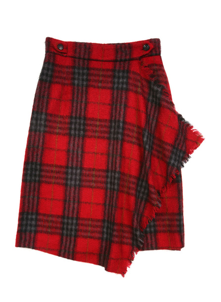 Checkered skirt - Photo, Image