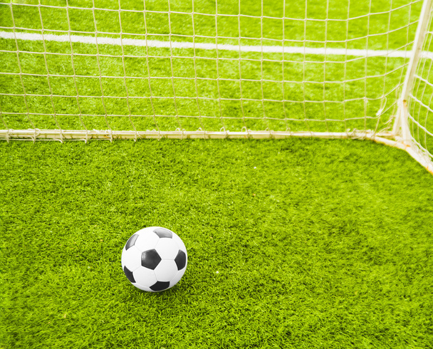 Soccer ball on green grass  - Фото, зображення