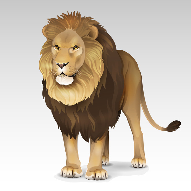 Color African lion - Vector, Image