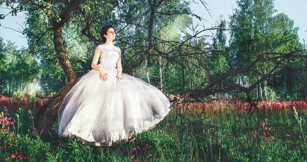 bir ağaç dalı üzerinde oturan beyaz elbiseli güzel gelin - Fotoğraf, Görsel
