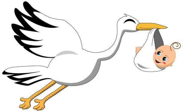 Flying stork delivering baby isolated - Vector, Image