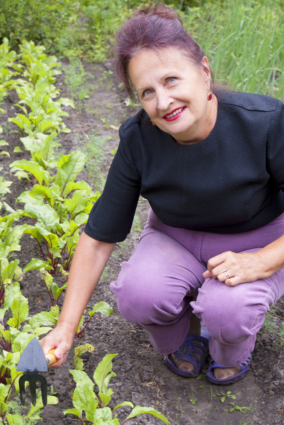The happy smiling woman works on a garden site - Zdjęcie, obraz