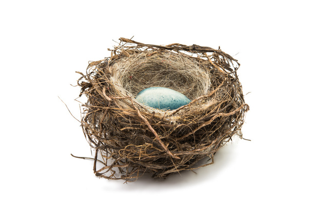huevos de chocolate en el nido aislados
  - Foto, imagen