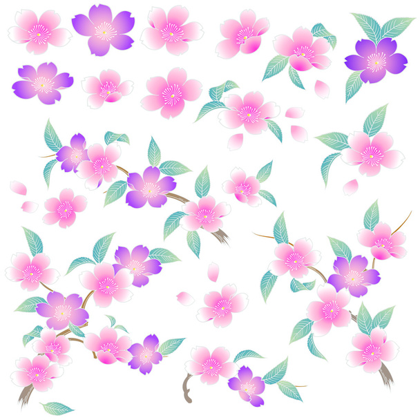 Japanese style cherry blossom - Вектор, зображення