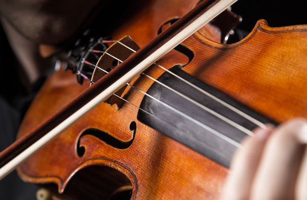 Detail a violinist playing his instrument - 写真・画像