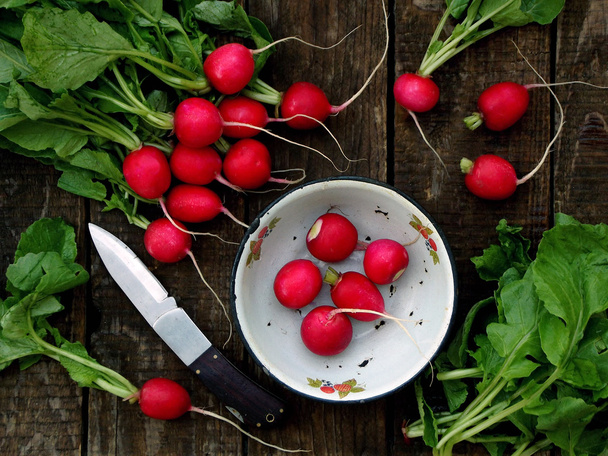 Radis rouge frais
 - Photo, image