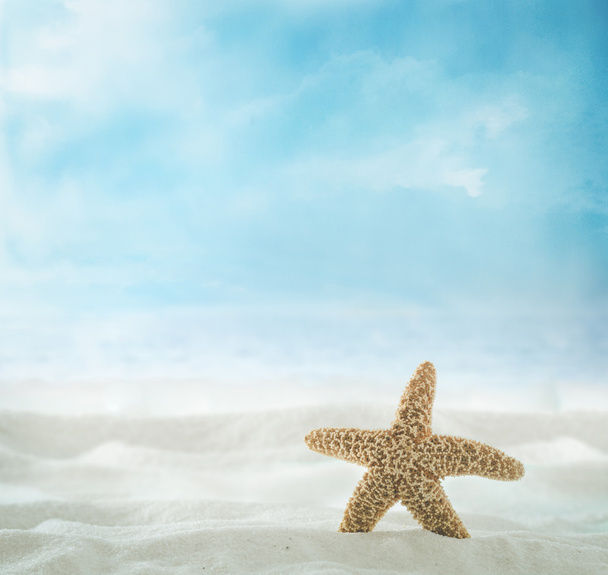 Summer background with with sand - 写真・画像