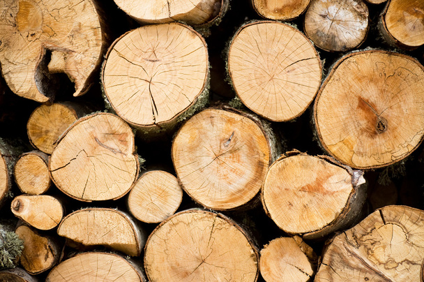 Stacked firewoods. Natural Background - Photo, Image