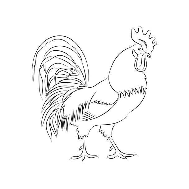Vector handrawn illustration of the rooster or cockerel. - Vetor, Imagem