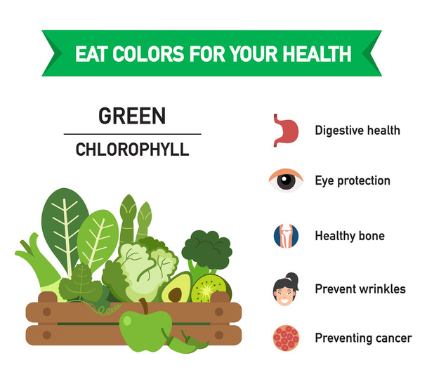 Eat colors for your health-GREEN FOOD,Eat a rainbow of fruits and vegetables - Vector, Image