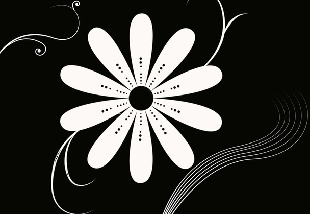Delicada flor sobre fondo negro - Photo, Image