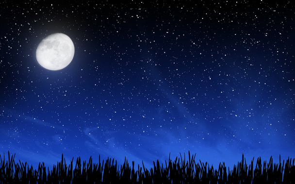 Ciel nocturne profond avec beaucoup d'étoiles et d'herbe
 - Photo, image