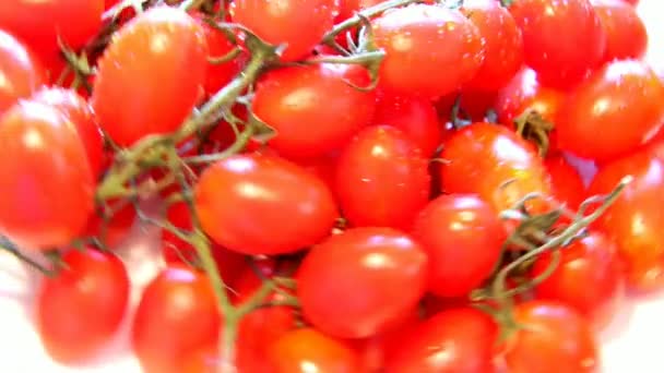 Dönen küçük kiraz domates yığını - Video, Çekim