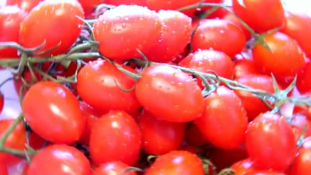 Powoli obracaj kupie małe pomidorki - Materiał filmowy, wideo