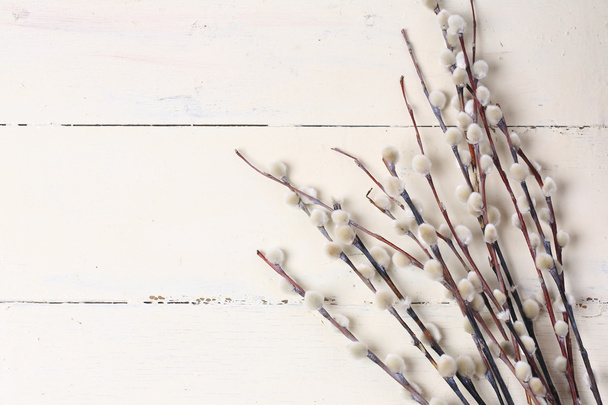 Weide auf einem weißen Vintage-Holzhintergrund Frühling Zusammensetzung Ostern - Foto, Bild